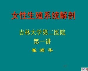 吉林大学《妇产科护理学》32讲教学视频下载 – 教学视频下载中医教学-中医资料-中医医案-中医针灸-古籍珍本-中医基础-中医经典-中医-名家学术-中医男科-疾病专治-经方论治-名族医药-中医方剂-中药本草-中医拔罐-中医刮痧-推拿按摩-中医内科-中西结合-中医妇科-中医皮肤-中医医话-中医外科-中医儿科-中医儿科-海外中医-特色疗法-中医骨伤-中医四诊-中医养生阁