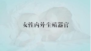 仙桃职业学院《妇产科护理学》42集 – 教学视频下载中医教学-中医资料-中医医案-中医针灸-古籍珍本-中医基础-中医经典-中医-名家学术-中医男科-疾病专治-经方论治-名族医药-中医方剂-中药本草-中医拔罐-中医刮痧-推拿按摩-中医内科-中西结合-中医妇科-中医皮肤-中医医话-中医外科-中医儿科-中医儿科-海外中医-特色疗法-中医骨伤-中医四诊-中医养生阁
