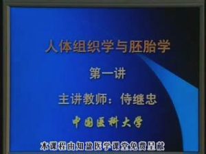 中国医科大学《人体组织学与胚胎学》42集教学视频下载 - 教学视频下载中医教学-中医资料-中医医案-中医针灸-古籍珍本-中医基础-中医经典-中医-名家学术-中医男科-疾病专治-经方论治-名族医药-中医方剂-中药本草-中医拔罐-中医刮痧-推拿按摩-中医内科-中西结合-中医妇科-中医皮肤-中医医话-中医外科-中医儿科-中医儿科-海外中医-特色疗法-中医骨伤-中医四诊-中医养生阁