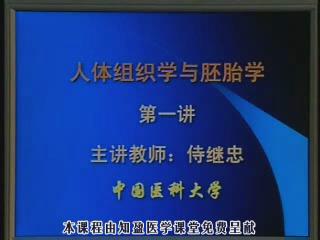 中国医科大学《人体组织学与胚胎学》42集教学视频下载 - 教学视频下载 - 中医养生阁中医教学-中医资料-中医医案-中医针灸-古籍珍本-中医基础-中医经典-中医-名家学术-中医男科-疾病专治-经方论治-名族医药-中医方剂-中药本草-中医拔罐-中医刮痧-推拿按摩-中医内科-中西结合-中医妇科-中医皮肤-中医医话-中医外科-中医儿科-中医儿科-海外中医-特色疗法-中医骨伤-中医四诊-中医养生阁