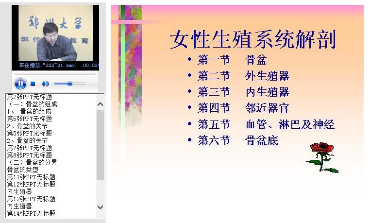 郑州大学《妇产科学》28讲教学视频下载 - 教学视频下载 - 中医养生阁中医教学-中医资料-中医医案-中医针灸-古籍珍本-中医基础-中医经典-中医-名家学术-中医男科-疾病专治-经方论治-名族医药-中医方剂-中药本草-中医拔罐-中医刮痧-推拿按摩-中医内科-中西结合-中医妇科-中医皮肤-中医医话-中医外科-中医儿科-中医儿科-海外中医-特色疗法-中医骨伤-中医四诊-中医养生阁