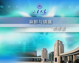 山东大学《麻醉与镇痛》27集 – 教学视频下载中医教学-中医资料-中医医案-中医针灸-古籍珍本-中医基础-中医经典-中医-名家学术-中医男科-疾病专治-经方论治-名族医药-中医方剂-中药本草-中医拔罐-中医刮痧-推拿按摩-中医内科-中西结合-中医妇科-中医皮肤-中医医话-中医外科-中医儿科-中医儿科-海外中医-特色疗法-中医骨伤-中医四诊-中医养生阁