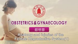 《妇产科学(英文)》48集 - 教学视频下载中医教学-中医资料-中医医案-中医针灸-古籍珍本-中医基础-中医经典-中医-名家学术-中医男科-疾病专治-经方论治-名族医药-中医方剂-中药本草-中医拔罐-中医刮痧-推拿按摩-中医内科-中西结合-中医妇科-中医皮肤-中医医话-中医外科-中医儿科-中医儿科-海外中医-特色疗法-中医骨伤-中医四诊-中医养生阁