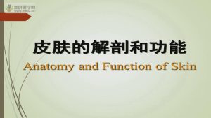 复旦大学《皮肤病学》78集 - 教学视频下载中医教学-中医资料-中医医案-中医针灸-古籍珍本-中医基础-中医经典-中医-名家学术-中医男科-疾病专治-经方论治-名族医药-中医方剂-中药本草-中医拔罐-中医刮痧-推拿按摩-中医内科-中西结合-中医妇科-中医皮肤-中医医话-中医外科-中医儿科-中医儿科-海外中医-特色疗法-中医骨伤-中医四诊-中医养生阁