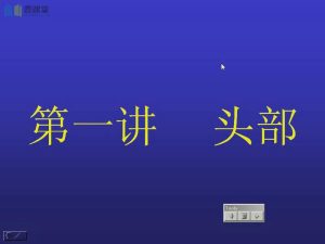 郑州大学《人体解剖学》40集教学视频下载 - 教学视频下载中医教学-中医资料-中医医案-中医针灸-古籍珍本-中医基础-中医经典-中医-名家学术-中医男科-疾病专治-经方论治-名族医药-中医方剂-中药本草-中医拔罐-中医刮痧-推拿按摩-中医内科-中西结合-中医妇科-中医皮肤-中医医话-中医外科-中医儿科-中医儿科-海外中医-特色疗法-中医骨伤-中医四诊-中医养生阁