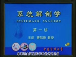 中国医科大学《系统解剖学》50集教学视频下载 - 教学视频下载中医教学-中医资料-中医医案-中医针灸-古籍珍本-中医基础-中医经典-中医-名家学术-中医男科-疾病专治-经方论治-名族医药-中医方剂-中药本草-中医拔罐-中医刮痧-推拿按摩-中医内科-中西结合-中医妇科-中医皮肤-中医医话-中医外科-中医儿科-中医儿科-海外中医-特色疗法-中医骨伤-中医四诊-中医养生阁