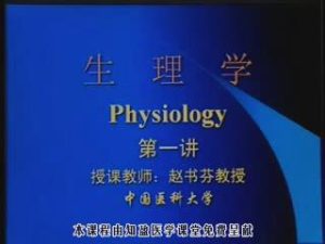 中国医科大学《生理学》60集教学视频下载 - 教学视频下载中医教学-中医资料-中医医案-中医针灸-古籍珍本-中医基础-中医经典-中医-名家学术-中医男科-疾病专治-经方论治-名族医药-中医方剂-中药本草-中医拔罐-中医刮痧-推拿按摩-中医内科-中西结合-中医妇科-中医皮肤-中医医话-中医外科-中医儿科-中医儿科-海外中医-特色疗法-中医骨伤-中医四诊-中医养生阁