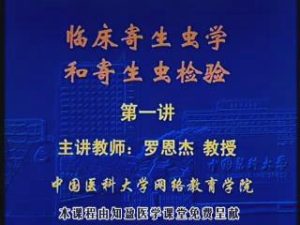 中国医科大学《临床寄生虫学与寄生虫检验》36集教学视频下载 - 教学视频下载中医教学-中医资料-中医医案-中医针灸-古籍珍本-中医基础-中医经典-中医-名家学术-中医男科-疾病专治-经方论治-名族医药-中医方剂-中药本草-中医拔罐-中医刮痧-推拿按摩-中医内科-中西结合-中医妇科-中医皮肤-中医医话-中医外科-中医儿科-中医儿科-海外中医-特色疗法-中医骨伤-中医四诊-中医养生阁