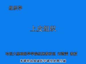 哈尔滨医科大学《组织学与胚胎学》34集教学视频下载 - 教学视频下载中医教学-中医资料-中医医案-中医针灸-古籍珍本-中医基础-中医经典-中医-名家学术-中医男科-疾病专治-经方论治-名族医药-中医方剂-中药本草-中医拔罐-中医刮痧-推拿按摩-中医内科-中西结合-中医妇科-中医皮肤-中医医话-中医外科-中医儿科-中医儿科-海外中医-特色疗法-中医骨伤-中医四诊-中医养生阁