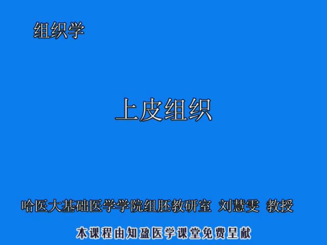 哈尔滨医科大学《组织学与胚胎学》34集教学视频下载 - 教学视频下载 - 中医养生阁中医教学-中医资料-中医医案-中医针灸-古籍珍本-中医基础-中医经典-中医-名家学术-中医男科-疾病专治-经方论治-名族医药-中医方剂-中药本草-中医拔罐-中医刮痧-推拿按摩-中医内科-中西结合-中医妇科-中医皮肤-中医医话-中医外科-中医儿科-中医儿科-海外中医-特色疗法-中医骨伤-中医四诊-中医养生阁