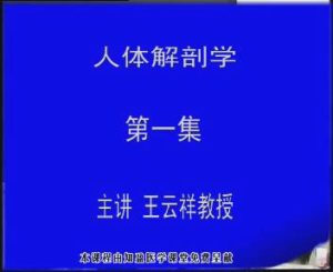 哈尔滨医科大学《人体解剖学》50集教学视频下载 - 教学视频下载中医教学-中医资料-中医医案-中医针灸-古籍珍本-中医基础-中医经典-中医-名家学术-中医男科-疾病专治-经方论治-名族医药-中医方剂-中药本草-中医拔罐-中医刮痧-推拿按摩-中医内科-中西结合-中医妇科-中医皮肤-中医医话-中医外科-中医儿科-中医儿科-海外中医-特色疗法-中医骨伤-中医四诊-中医养生阁