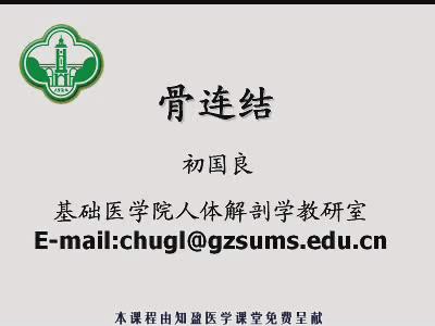 中山大学《人体解剖学》36集教学视频下载 - 教学视频下载 - 中医养生阁中医教学-中医资料-中医医案-中医针灸-古籍珍本-中医基础-中医经典-中医-名家学术-中医男科-疾病专治-经方论治-名族医药-中医方剂-中药本草-中医拔罐-中医刮痧-推拿按摩-中医内科-中西结合-中医妇科-中医皮肤-中医医话-中医外科-中医儿科-中医儿科-海外中医-特色疗法-中医骨伤-中医四诊-中医养生阁