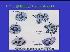 中山大学《病理学》48集教学视频下载 - 教学视频下载中医教学-中医资料-中医医案-中医针灸-古籍珍本-中医基础-中医经典-中医-名家学术-中医男科-疾病专治-经方论治-名族医药-中医方剂-中药本草-中医拔罐-中医刮痧-推拿按摩-中医内科-中西结合-中医妇科-中医皮肤-中医医话-中医外科-中医儿科-中医儿科-海外中医-特色疗法-中医骨伤-中医四诊-中医养生阁
