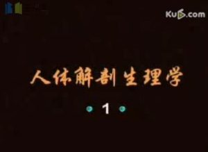 中央广播电视大学《人体解剖生理学》20集教学视频下载 - 教学视频下载中医教学-中医资料-中医医案-中医针灸-古籍珍本-中医基础-中医经典-中医-名家学术-中医男科-疾病专治-经方论治-名族医药-中医方剂-中药本草-中医拔罐-中医刮痧-推拿按摩-中医内科-中西结合-中医妇科-中医皮肤-中医医话-中医外科-中医儿科-中医儿科-海外中医-特色疗法-中医骨伤-中医四诊-中医养生阁