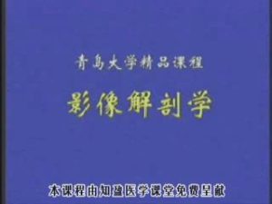 青岛大学《影像解剖学》73集教学视频下载 - 教学视频下载中医教学-中医资料-中医医案-中医针灸-古籍珍本-中医基础-中医经典-中医-名家学术-中医男科-疾病专治-经方论治-名族医药-中医方剂-中药本草-中医拔罐-中医刮痧-推拿按摩-中医内科-中西结合-中医妇科-中医皮肤-中医医话-中医外科-中医儿科-中医儿科-海外中医-特色疗法-中医骨伤-中医四诊-中医养生阁