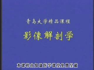 青岛大学《影像解剖学》73集教学视频下载 - 教学视频下载 - 中医养生阁中医教学-中医资料-中医医案-中医针灸-古籍珍本-中医基础-中医经典-中医-名家学术-中医男科-疾病专治-经方论治-名族医药-中医方剂-中药本草-中医拔罐-中医刮痧-推拿按摩-中医内科-中西结合-中医妇科-中医皮肤-中医医话-中医外科-中医儿科-中医儿科-海外中医-特色疗法-中医骨伤-中医四诊-中医养生阁