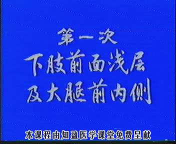 宁夏医科大学《人体解剖学》49集教学视频下载 – 教学视频下载中医教学-中医资料-中医医案-中医针灸-古籍珍本-中医基础-中医经典-中医-名家学术-中医男科-疾病专治-经方论治-名族医药-中医方剂-中药本草-中医拔罐-中医刮痧-推拿按摩-中医内科-中西结合-中医妇科-中医皮肤-中医医话-中医外科-中医儿科-中医儿科-海外中医-特色疗法-中医骨伤-中医四诊-中医养生阁