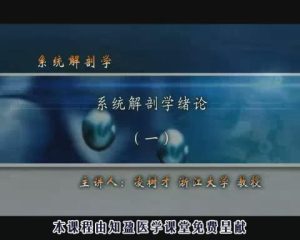 浙江大学《系统解剖学》90集教学视频下载 - 教学视频下载中医教学-中医资料-中医医案-中医针灸-古籍珍本-中医基础-中医经典-中医-名家学术-中医男科-疾病专治-经方论治-名族医药-中医方剂-中药本草-中医拔罐-中医刮痧-推拿按摩-中医内科-中西结合-中医妇科-中医皮肤-中医医话-中医外科-中医儿科-中医儿科-海外中医-特色疗法-中医骨伤-中医四诊-中医养生阁