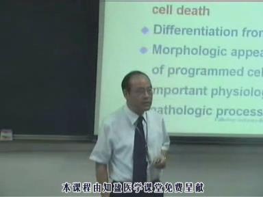 浙江大学《病理学》43集教学视频下载 - 教学视频下载 - 中医养生阁中医教学-中医资料-中医医案-中医针灸-古籍珍本-中医基础-中医经典-中医-名家学术-中医男科-疾病专治-经方论治-名族医药-中医方剂-中药本草-中医拔罐-中医刮痧-推拿按摩-中医内科-中西结合-中医妇科-中医皮肤-中医医话-中医外科-中医儿科-中医儿科-海外中医-特色疗法-中医骨伤-中医四诊-中医养生阁