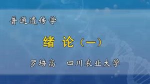 四川农业大学《普通遗传学》58集教学视频下载 – 教学视频下载中医教学-中医资料-中医医案-中医针灸-古籍珍本-中医基础-中医经典-中医-名家学术-中医男科-疾病专治-经方论治-名族医药-中医方剂-中药本草-中医拔罐-中医刮痧-推拿按摩-中医内科-中西结合-中医妇科-中医皮肤-中医医话-中医外科-中医儿科-中医儿科-海外中医-特色疗法-中医骨伤-中医四诊-中医养生阁