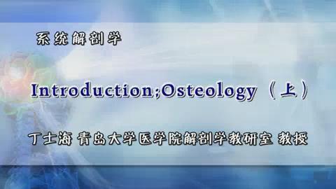 青岛大学《系统解剖学》27集教学视频下载 - 教学视频下载 - 中医养生阁中医教学-中医资料-中医医案-中医针灸-古籍珍本-中医基础-中医经典-中医-名家学术-中医男科-疾病专治-经方论治-名族医药-中医方剂-中药本草-中医拔罐-中医刮痧-推拿按摩-中医内科-中西结合-中医妇科-中医皮肤-中医医话-中医外科-中医儿科-中医儿科-海外中医-特色疗法-中医骨伤-中医四诊-中医养生阁