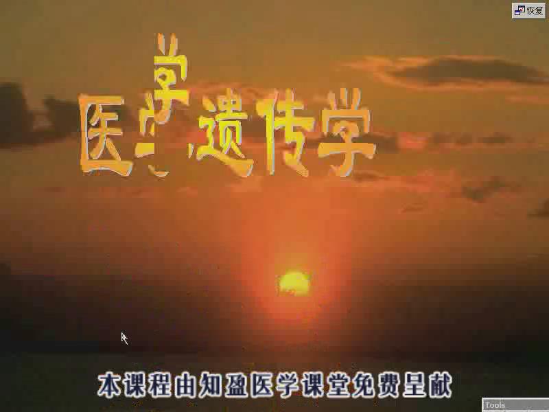 吉林大学《医学遗传学》31集教学视频下载 - 教学视频下载 - 中医养生阁中医教学-中医资料-中医医案-中医针灸-古籍珍本-中医基础-中医经典-中医-名家学术-中医男科-疾病专治-经方论治-名族医药-中医方剂-中药本草-中医拔罐-中医刮痧-推拿按摩-中医内科-中西结合-中医妇科-中医皮肤-中医医话-中医外科-中医儿科-中医儿科-海外中医-特色疗法-中医骨伤-中医四诊-中医养生阁