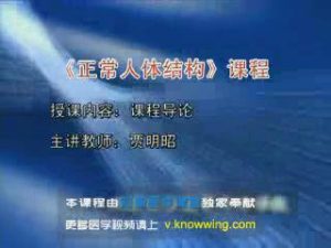 天津医学高等专科学校《正常人体结构》76集教学视频下载 - 教学视频下载中医教学-中医资料-中医医案-中医针灸-古籍珍本-中医基础-中医经典-中医-名家学术-中医男科-疾病专治-经方论治-名族医药-中医方剂-中药本草-中医拔罐-中医刮痧-推拿按摩-中医内科-中西结合-中医妇科-中医皮肤-中医医话-中医外科-中医儿科-中医儿科-海外中医-特色疗法-中医骨伤-中医四诊-中医养生阁