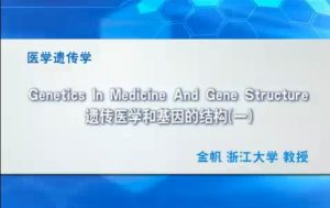 浙江大学《医学遗传学》46集教学视频下载 - 教学视频下载中医教学-中医资料-中医医案-中医针灸-古籍珍本-中医基础-中医经典-中医-名家学术-中医男科-疾病专治-经方论治-名族医药-中医方剂-中药本草-中医拔罐-中医刮痧-推拿按摩-中医内科-中西结合-中医妇科-中医皮肤-中医医话-中医外科-中医儿科-中医儿科-海外中医-特色疗法-中医骨伤-中医四诊-中医养生阁