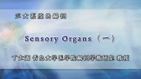 青岛大学《三大系统的解剖》67集教学视频下载 - 教学视频下载 - 中医养生阁中医教学-中医资料-中医医案-中医针灸-古籍珍本-中医基础-中医经典-中医-名家学术-中医男科-疾病专治-经方论治-名族医药-中医方剂-中药本草-中医拔罐-中医刮痧-推拿按摩-中医内科-中西结合-中医妇科-中医皮肤-中医医话-中医外科-中医儿科-中医儿科-海外中医-特色疗法-中医骨伤-中医四诊-中医养生阁
