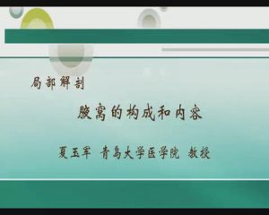 青岛大学《局部解剖学》12集教学视频下载 - 教学视频下载中医教学-中医资料-中医医案-中医针灸-古籍珍本-中医基础-中医经典-中医-名家学术-中医男科-疾病专治-经方论治-名族医药-中医方剂-中药本草-中医拔罐-中医刮痧-推拿按摩-中医内科-中西结合-中医妇科-中医皮肤-中医医话-中医外科-中医儿科-中医儿科-海外中医-特色疗法-中医骨伤-中医四诊-中医养生阁