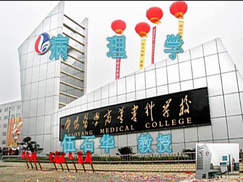 邵阳医学高等专科学校《病理学》58集教学视频下载 - 教学视频下载 - 中医养生阁中医教学-中医资料-中医医案-中医针灸-古籍珍本-中医基础-中医经典-中医-名家学术-中医男科-疾病专治-经方论治-名族医药-中医方剂-中药本草-中医拔罐-中医刮痧-推拿按摩-中医内科-中西结合-中医妇科-中医皮肤-中医医话-中医外科-中医儿科-中医儿科-海外中医-特色疗法-中医骨伤-中医四诊-中医养生阁