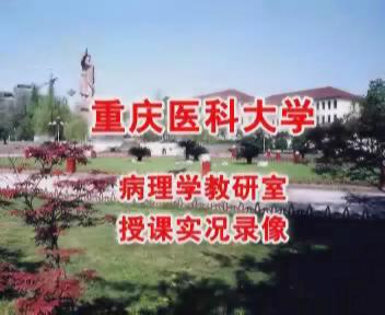 重庆医科大学《病理学》18集教学视频下载 - 教学视频下载 - 中医养生阁中医教学-中医资料-中医医案-中医针灸-古籍珍本-中医基础-中医经典-中医-名家学术-中医男科-疾病专治-经方论治-名族医药-中医方剂-中药本草-中医拔罐-中医刮痧-推拿按摩-中医内科-中西结合-中医妇科-中医皮肤-中医医话-中医外科-中医儿科-中医儿科-海外中医-特色疗法-中医骨伤-中医四诊-中医养生阁