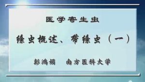 南方医科大学《医学寄生虫学》30集教学视频下载 - 教学视频下载中医教学-中医资料-中医医案-中医针灸-古籍珍本-中医基础-中医经典-中医-名家学术-中医男科-疾病专治-经方论治-名族医药-中医方剂-中药本草-中医拔罐-中医刮痧-推拿按摩-中医内科-中西结合-中医妇科-中医皮肤-中医医话-中医外科-中医儿科-中医儿科-海外中医-特色疗法-中医骨伤-中医四诊-中医养生阁