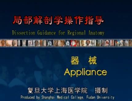 复旦大学《局部解剖学》50集教学视频下载 - 教学视频下载 - 中医养生阁中医教学-中医资料-中医医案-中医针灸-古籍珍本-中医基础-中医经典-中医-名家学术-中医男科-疾病专治-经方论治-名族医药-中医方剂-中药本草-中医拔罐-中医刮痧-推拿按摩-中医内科-中西结合-中医妇科-中医皮肤-中医医话-中医外科-中医儿科-中医儿科-海外中医-特色疗法-中医骨伤-中医四诊-中医养生阁