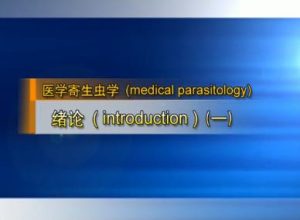 南方医科大学《医学寄生虫学》201集教学视频下载 - 教学视频下载中医教学-中医资料-中医医案-中医针灸-古籍珍本-中医基础-中医经典-中医-名家学术-中医男科-疾病专治-经方论治-名族医药-中医方剂-中药本草-中医拔罐-中医刮痧-推拿按摩-中医内科-中西结合-中医妇科-中医皮肤-中医医话-中医外科-中医儿科-中医儿科-海外中医-特色疗法-中医骨伤-中医四诊-中医养生阁