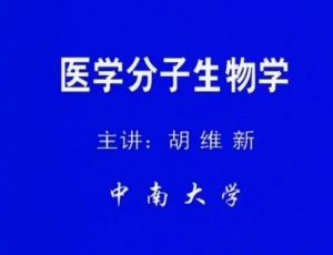 中南大学《医学分子生物学》24集教学视频下载 - 教学视频下载中医教学-中医资料-中医医案-中医针灸-古籍珍本-中医基础-中医经典-中医-名家学术-中医男科-疾病专治-经方论治-名族医药-中医方剂-中药本草-中医拔罐-中医刮痧-推拿按摩-中医内科-中西结合-中医妇科-中医皮肤-中医医话-中医外科-中医儿科-中医儿科-海外中医-特色疗法-中医骨伤-中医四诊-中医养生阁