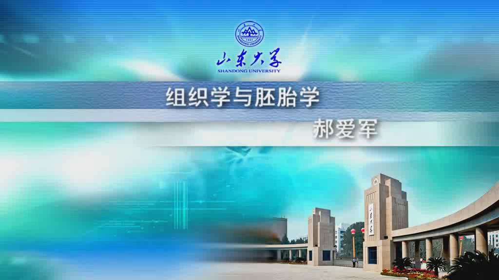 山东大学《组织学与胚胎学》48集教学视频下载 - 教学视频下载 - 中医养生阁中医教学-中医资料-中医医案-中医针灸-古籍珍本-中医基础-中医经典-中医-名家学术-中医男科-疾病专治-经方论治-名族医药-中医方剂-中药本草-中医拔罐-中医刮痧-推拿按摩-中医内科-中西结合-中医妇科-中医皮肤-中医医话-中医外科-中医儿科-中医儿科-海外中医-特色疗法-中医骨伤-中医四诊-中医养生阁