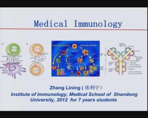 山东大学《医学免疫学》38集教学视频下载 - 教学视频下载中医教学-中医资料-中医医案-中医针灸-古籍珍本-中医基础-中医经典-中医-名家学术-中医男科-疾病专治-经方论治-名族医药-中医方剂-中药本草-中医拔罐-中医刮痧-推拿按摩-中医内科-中西结合-中医妇科-中医皮肤-中医医话-中医外科-中医儿科-中医儿科-海外中医-特色疗法-中医骨伤-中医四诊-中医养生阁