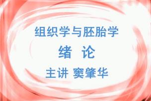 吉林医药学院《组织学与胚胎学》26集教学视频下载 - 教学视频下载 - 中医养生阁中医教学-中医资料-中医医案-中医针灸-古籍珍本-中医基础-中医经典-中医-名家学术-中医男科-疾病专治-经方论治-名族医药-中医方剂-中药本草-中医拔罐-中医刮痧-推拿按摩-中医内科-中西结合-中医妇科-中医皮肤-中医医话-中医外科-中医儿科-中医儿科-海外中医-特色疗法-中医骨伤-中医四诊-中医养生阁