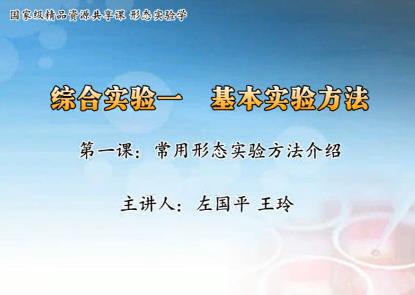 南京医科大学《医学形态实验学》30集教学视频下载 - 教学视频下载 - 中医养生阁中医教学-中医资料-中医医案-中医针灸-古籍珍本-中医基础-中医经典-中医-名家学术-中医男科-疾病专治-经方论治-名族医药-中医方剂-中药本草-中医拔罐-中医刮痧-推拿按摩-中医内科-中西结合-中医妇科-中医皮肤-中医医话-中医外科-中医儿科-中医儿科-海外中医-特色疗法-中医骨伤-中医四诊-中医养生阁