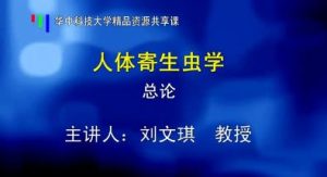 华中科技大学《人体寄生虫学》60集教学视频下载 - 教学视频下载中医教学-中医资料-中医医案-中医针灸-古籍珍本-中医基础-中医经典-中医-名家学术-中医男科-疾病专治-经方论治-名族医药-中医方剂-中药本草-中医拔罐-中医刮痧-推拿按摩-中医内科-中西结合-中医妇科-中医皮肤-中医医话-中医外科-中医儿科-中医儿科-海外中医-特色疗法-中医骨伤-中医四诊-中医养生阁