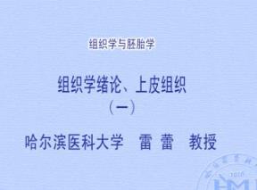 哈尔滨医科大学《组织学与胚胎学》46集教学视频下载 - 教学视频下载中医教学-中医资料-中医医案-中医针灸-古籍珍本-中医基础-中医经典-中医-名家学术-中医男科-疾病专治-经方论治-名族医药-中医方剂-中药本草-中医拔罐-中医刮痧-推拿按摩-中医内科-中西结合-中医妇科-中医皮肤-中医医话-中医外科-中医儿科-中医儿科-海外中医-特色疗法-中医骨伤-中医四诊-中医养生阁