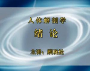 南通大学《人体解剖学》77集教学视频下载 - 教学视频下载中医教学-中医资料-中医医案-中医针灸-古籍珍本-中医基础-中医经典-中医-名家学术-中医男科-疾病专治-经方论治-名族医药-中医方剂-中药本草-中医拔罐-中医刮痧-推拿按摩-中医内科-中西结合-中医妇科-中医皮肤-中医医话-中医外科-中医儿科-中医儿科-海外中医-特色疗法-中医骨伤-中医四诊-中医养生阁