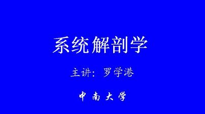中南大学《人体解剖学》84集教学视频下载 - 教学视频下载 - 中医养生阁中医教学-中医资料-中医医案-中医针灸-古籍珍本-中医基础-中医经典-中医-名家学术-中医男科-疾病专治-经方论治-名族医药-中医方剂-中药本草-中医拔罐-中医刮痧-推拿按摩-中医内科-中西结合-中医妇科-中医皮肤-中医医话-中医外科-中医儿科-中医儿科-海外中医-特色疗法-中医骨伤-中医四诊-中医养生阁