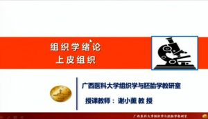 广西医科大学《组织学与胚胎学》22集教学视频下载 - 教学视频下载中医教学-中医资料-中医医案-中医针灸-古籍珍本-中医基础-中医经典-中医-名家学术-中医男科-疾病专治-经方论治-名族医药-中医方剂-中药本草-中医拔罐-中医刮痧-推拿按摩-中医内科-中西结合-中医妇科-中医皮肤-中医医话-中医外科-中医儿科-中医儿科-海外中医-特色疗法-中医骨伤-中医四诊-中医养生阁
