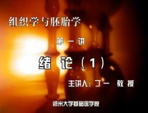 郑州大学《组织学与胚胎学》35集教学视频下载 - 教学视频下载中医教学-中医资料-中医医案-中医针灸-古籍珍本-中医基础-中医经典-中医-名家学术-中医男科-疾病专治-经方论治-名族医药-中医方剂-中药本草-中医拔罐-中医刮痧-推拿按摩-中医内科-中西结合-中医妇科-中医皮肤-中医医话-中医外科-中医儿科-中医儿科-海外中医-特色疗法-中医骨伤-中医四诊-中医养生阁