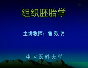 中国医科大学《组织学与胚胎学》31集教学视频下载 - 教学视频下载中医教学-中医资料-中医医案-中医针灸-古籍珍本-中医基础-中医经典-中医-名家学术-中医男科-疾病专治-经方论治-名族医药-中医方剂-中药本草-中医拔罐-中医刮痧-推拿按摩-中医内科-中西结合-中医妇科-中医皮肤-中医医话-中医外科-中医儿科-中医儿科-海外中医-特色疗法-中医骨伤-中医四诊-中医养生阁