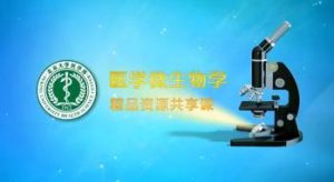 北京大学《医学微生物学》52集教学视频下载 - 教学视频下载中医教学-中医资料-中医医案-中医针灸-古籍珍本-中医基础-中医经典-中医-名家学术-中医男科-疾病专治-经方论治-名族医药-中医方剂-中药本草-中医拔罐-中医刮痧-推拿按摩-中医内科-中西结合-中医妇科-中医皮肤-中医医话-中医外科-中医儿科-中医儿科-海外中医-特色疗法-中医骨伤-中医四诊-中医养生阁