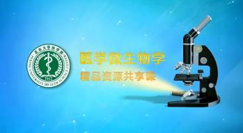 北京大学《医学微生物学》52集教学视频下载 - 教学视频下载 - 中医养生阁中医教学-中医资料-中医医案-中医针灸-古籍珍本-中医基础-中医经典-中医-名家学术-中医男科-疾病专治-经方论治-名族医药-中医方剂-中药本草-中医拔罐-中医刮痧-推拿按摩-中医内科-中西结合-中医妇科-中医皮肤-中医医话-中医外科-中医儿科-中医儿科-海外中医-特色疗法-中医骨伤-中医四诊-中医养生阁