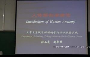 北京大学《人体解剖学》28集教学视频下载 - 教学视频下载中医教学-中医资料-中医医案-中医针灸-古籍珍本-中医基础-中医经典-中医-名家学术-中医男科-疾病专治-经方论治-名族医药-中医方剂-中药本草-中医拔罐-中医刮痧-推拿按摩-中医内科-中西结合-中医妇科-中医皮肤-中医医话-中医外科-中医儿科-中医儿科-海外中医-特色疗法-中医骨伤-中医四诊-中医养生阁